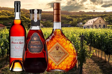 7 Stunning Armagnac’s For Brandy Lovers Everywhere | Drinks Geek