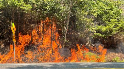 What you can do to prevent brush fires, wildfires | king5.com