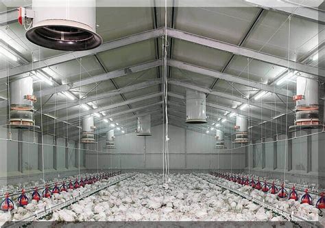 Beginners Guide to Poultry Housing System – Growel Agrovet