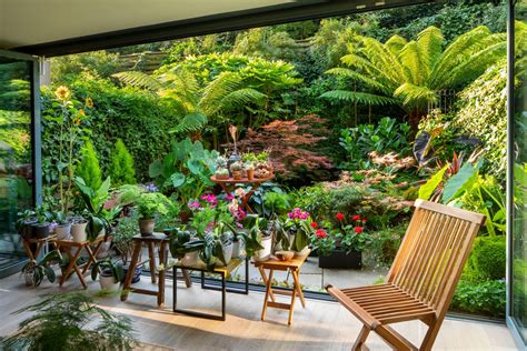 How a dull London patio was transformed into a leafy tropical retreat ...