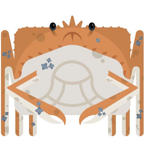 [Japanese Spider Crab] Great Spider Crab (150c) : r/deeeepioskins