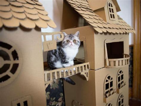 Instead Of Throwing Out Old Cardboard Boxes, People Are Turning Them Into Amazing Cat Forts (20 ...