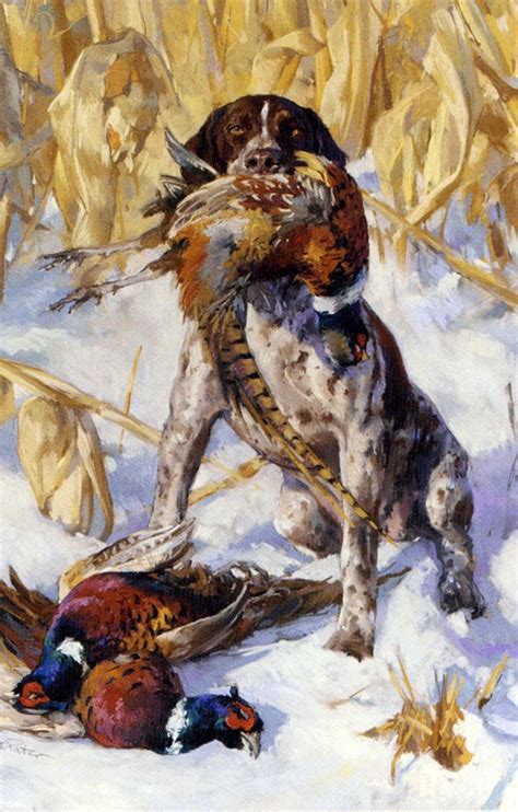 A Pointer And A Pheasant by Andre Pater, Pastel on paper Upland Bird Hunting, Hunting Art ...