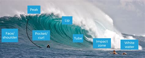 Wave Anatomy - Surf Lessons In Perth, Learn To Surf.