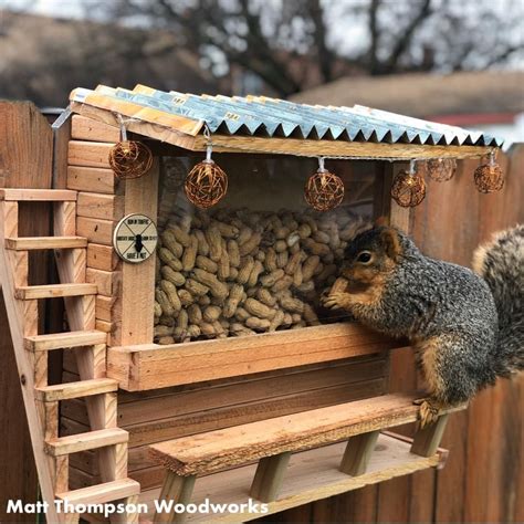 a squirrel eating peanuts out of a bird feeder