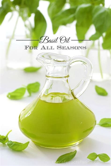 Basil Oil | Recipe | Basil oil, Oils, Flavored oils