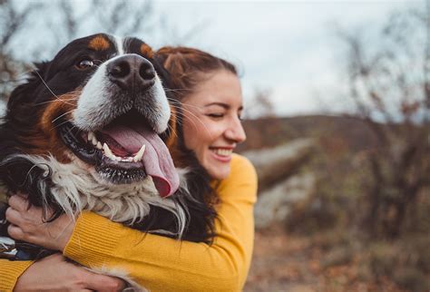 Dog Lovers Connect and Find Pup-Approved Love - ANIMAL HEALTH INSTITUTE