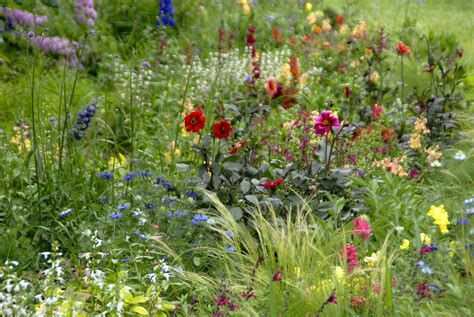 6 Beautifully Blooming Gardens in Minneapolis Parks > Minneapolis Parks Foundation