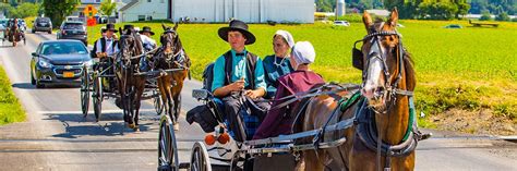 » Is Amish a Religion, Culture, or Belief System?