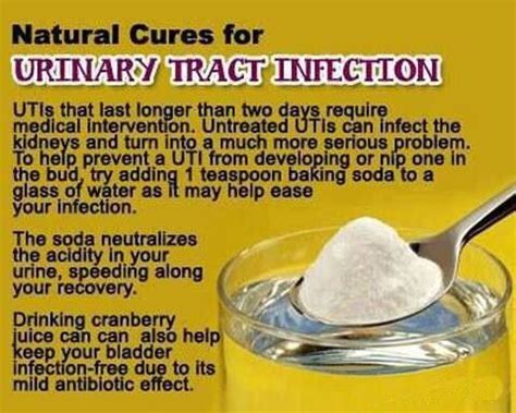 DIY Natural Wound Care First Aid Kit 👏 | Uti remedies, Natural remedies for uti, Remedies