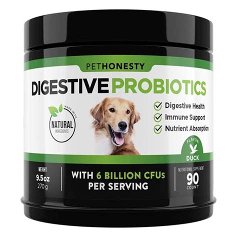 The Best Probiotics for Dogs With Diarrhea — Natural Treatment ...