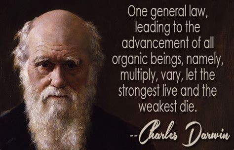 Charles Darwin Quotes