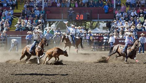 Rodeo Arena seating target of study | Members | dailyrecordnews.com