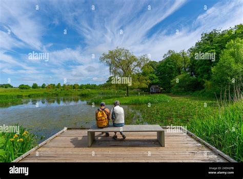 Modern sculptures at Jupiter Artland in Edinburgh, Scotland, UK Stock Photo - Alamy