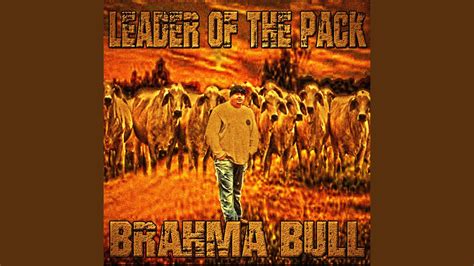 Leader of the Pack - YouTube