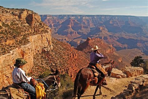 Thunderbird Lodge - Inside the Park Grand Canyon, Arizona, US - Reservations.com