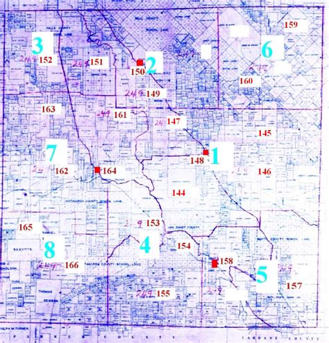 1920 Census Information for Wise County Texas