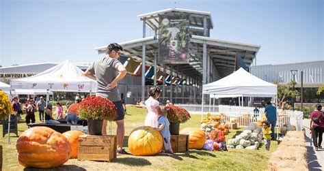 Best Houston Farmers Market | Community Produce