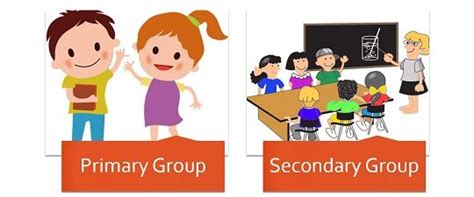 Difference Between Primary Group and Secondary Group (with Characteristics. Examples and ...