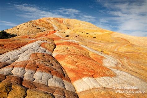 Yellow Rock | Grand Staircase-Escalante NM | Utah | USA | Synnatschke Photography