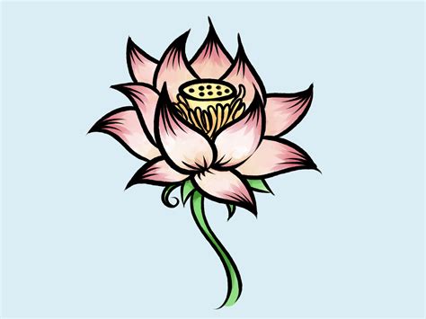 How to Draw a Lotus Flower: 7 Steps (with Pictures) - wikiHow
