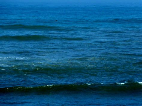speck on blue ocean | joe perrott | Flickr