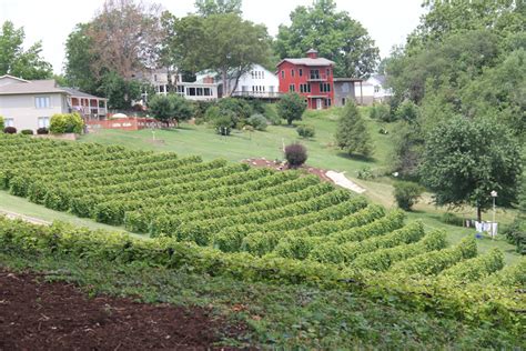 Stone Hill Winery in Hermann Missouri