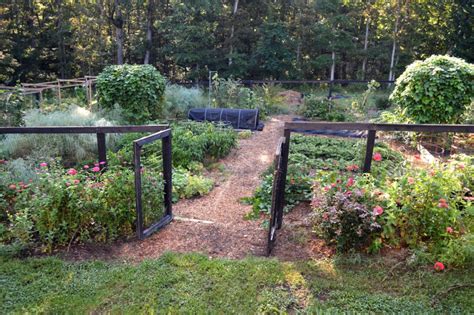 The Truth about Self-Sufficiency on a Quarter Acre - The Seasonal Homestead