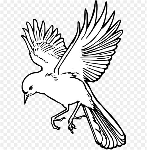 Flying Bird Drawing - Flying Bird Drawing Art PNG Transparent With Clear Background ID 227225 ...