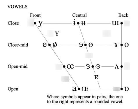 IPA vowel chart Diagram | Quizlet