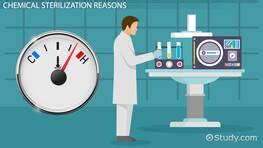 Quiz & Worksheet - Autoclave Sterilization Steps | Study.com