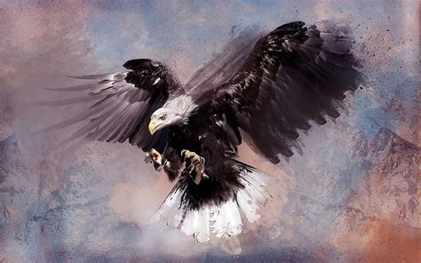 HD wallpaper: eagle painting, birds, artwork, paint splatter, digital art, animals | Wallpaper Flare