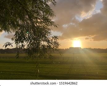 70 Sunrise Racecourse Images, Stock Photos, 3D objects, & Vectors | Shutterstock