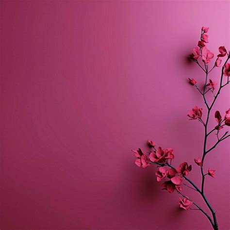 fushia Minimalist wallpaper high quality 4k hdr 30697063 Stock Photo at ...