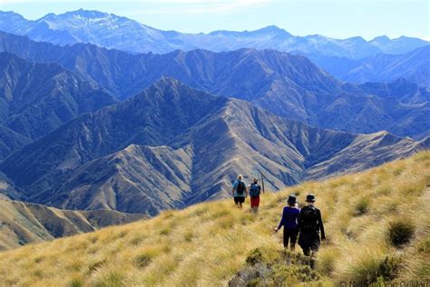 New Zealand: Hiking Queenstown's Moonlight Track