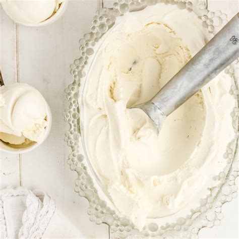 Creamy Lemon Gelato made Without Sugar and Carbs