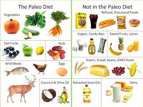 What is the Paleo Diet? | Eatology – Healthy & Tasty Meal Plan Delivery