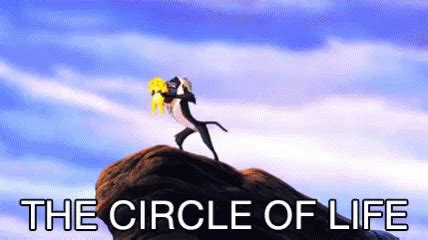 Circle Of Life GIFs | Tenor