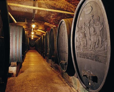 The Oldest Slovenian Wine at Ptuj's Salon Sauvignon (Semisweet ...