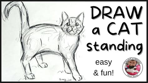 How to a Draw Cat Standing Side View | facing forward simple sketch ...