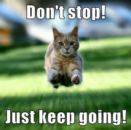 English: Don't stop! Just keep going! | Funny memes, Funny cat memes, Just keep going