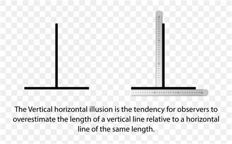 Vertical–horizontal Illusion Line Horizontal And Vertical Ruler ...