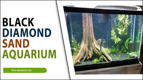 Black Diamond Sand Aquarium