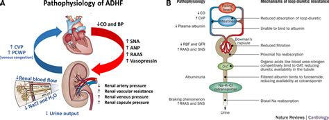 Conceptual Considerations for Device-Based Therapy in Acute Decompensated Heart Failure ...