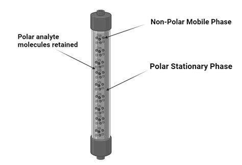 What Is Normal Phase Chromatography at Roscoe Gillette blog