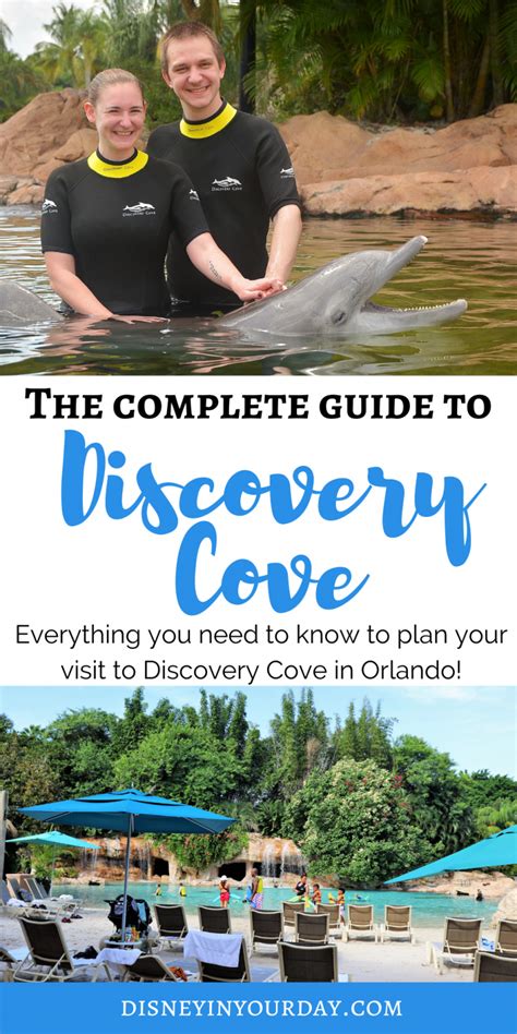 A day at Discovery Cove in Orlando - Disney in your Day