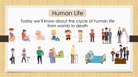 Human Life Cycle | PowerPoint Works | By Porosh - YouTube