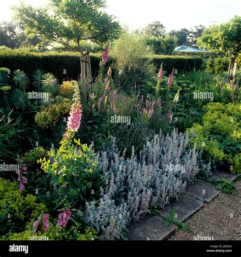 Flowers in a Georgian style garden Stock Photo - Alamy