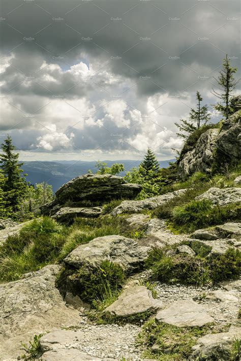 Bavarian forest nature park stock photo containing a positive and bavaria | Nature Stock Photos ...