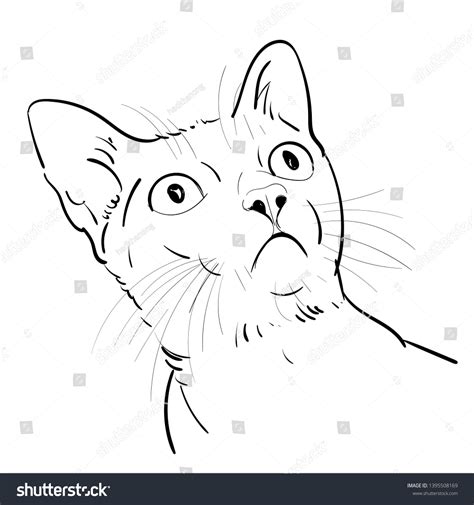 Drawing Portrait Cat Staring Isolated On Stock Vector (Royalty Free ...